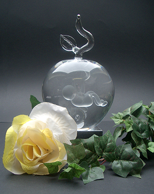 Foetus-Baby in glazen bol met tak en blad. Bol is gevuld met gedestilleerd water â‚¬ 172,50 (1)