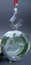 Foetus-Baby in glazen appel als hanger. Appel is gevuld met gedestilleerd water â‚¬ 174,95